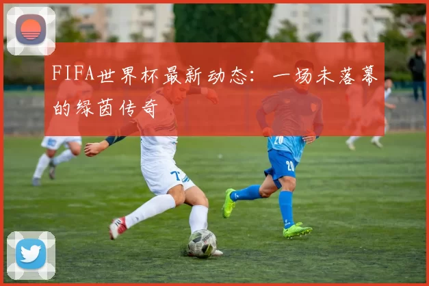 FIFA世界杯最新动态:一场未落幕的绿茵传奇