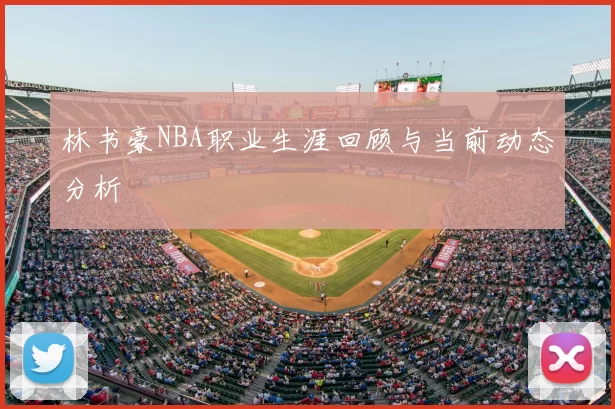 林书豪NBA职业生涯回顾与当前动态分析
