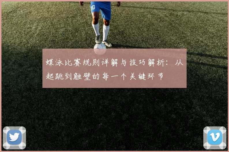 蝶泳比赛规则详解与技巧解析：从起跳到触壁的每一个关键环节