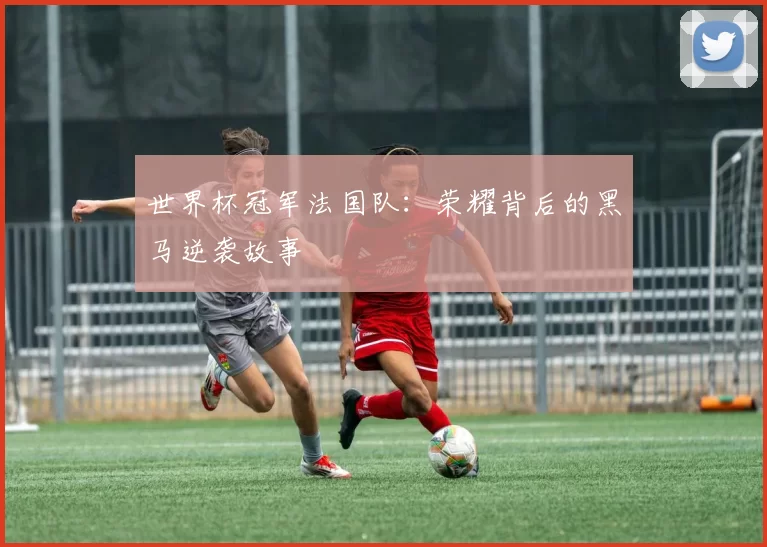 世界杯冠军法国队：荣耀背后的黑马逆袭故事