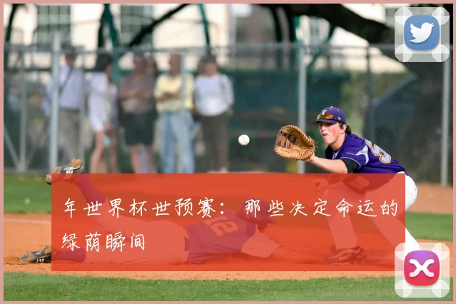年世界杯世预赛:那些决定命运的绿荫瞬间
