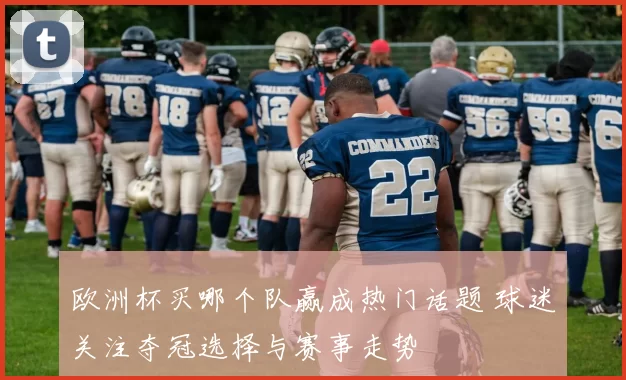 欧洲杯买哪个队赢成热门话题 球迷关注夺冠选择与赛事走势