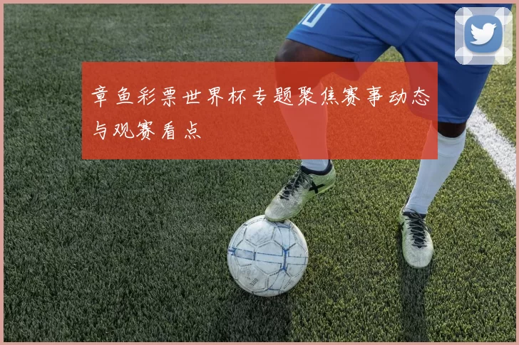 章鱼彩票世界杯专题聚焦赛事动态与观赛看点