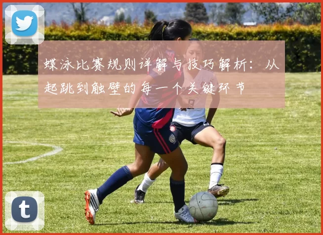 蝶泳比赛规则详解与技巧解析：从起跳到触壁的每一个关键环节