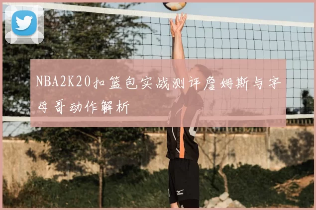 NBA2K20扣篮包实战测评詹姆斯与字母哥动作解析