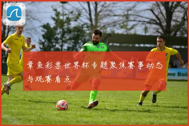 章鱼彩票世界杯专题聚焦赛事动态与观赛看点