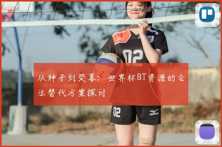 从种子到荧幕:世界杯BT资源的合法替代方案探讨