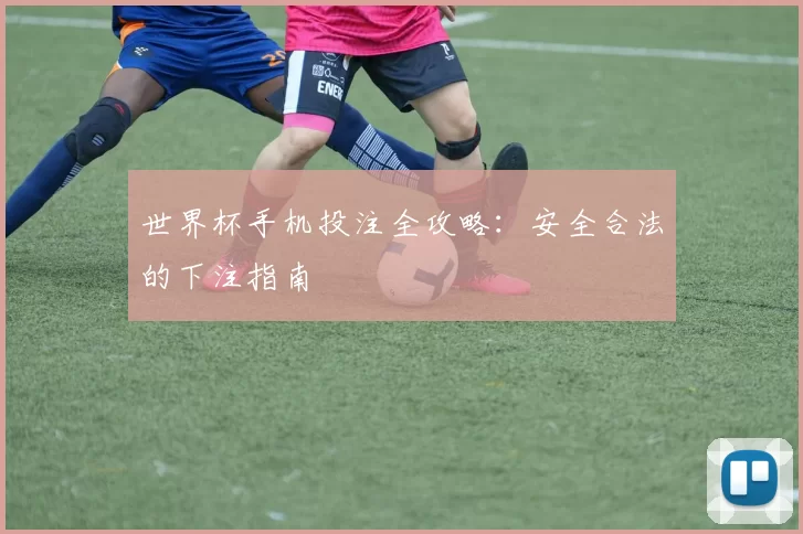 世界杯手机投注全攻略：安全合法的下注指南