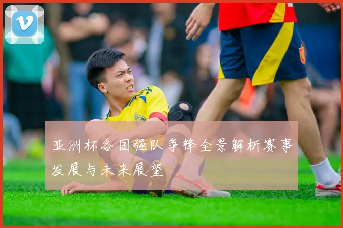 亚洲杯各国强队争锋全景解析赛事发展与未来展望