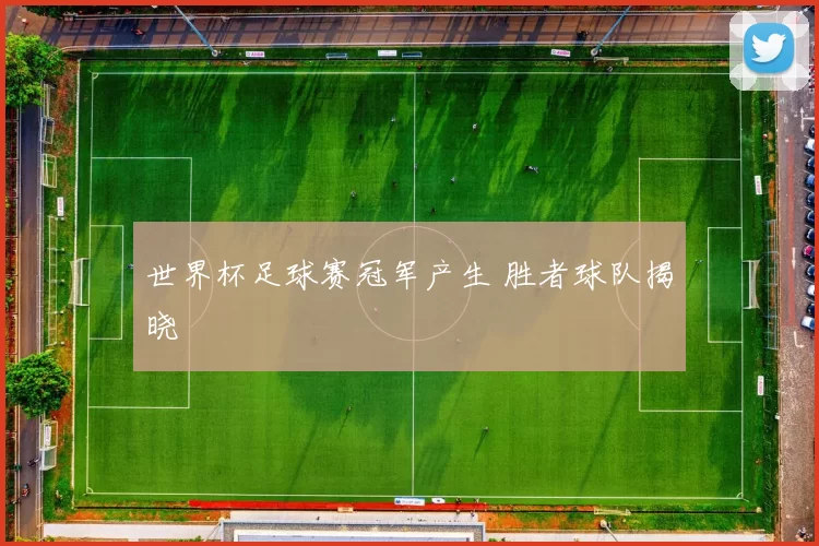 世界杯足球赛冠军产生 胜者球队揭晓