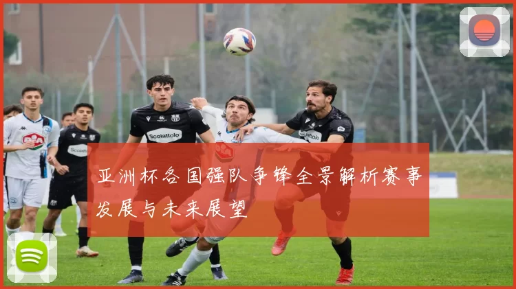 亚洲杯各国强队争锋全景解析赛事发展与未来展望